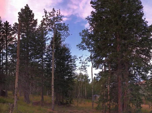 Dao House hotel detail image 4