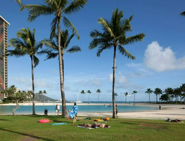 Ilikai Lite hotel detail image 1