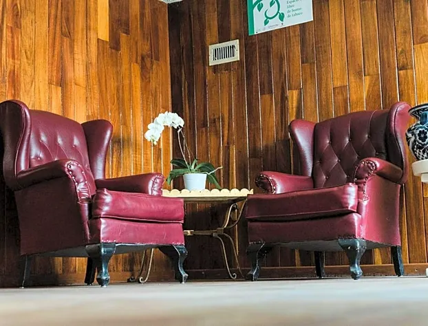 Hotel Rex hotel detail image 1