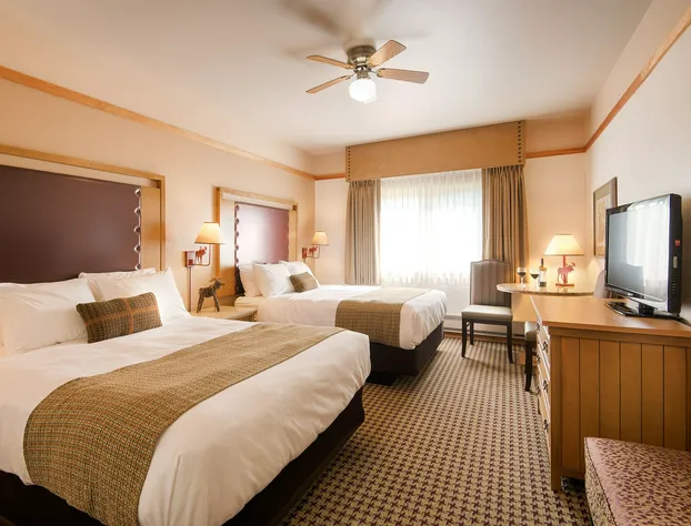 Mt. McKinley Princess Wilderness Lodge hotel detail image 3