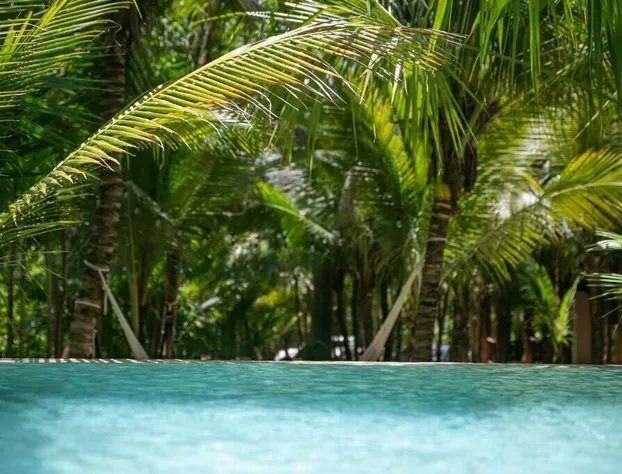 Hotel Buenavista Bacalar Jungle Experience hotel detail image 2