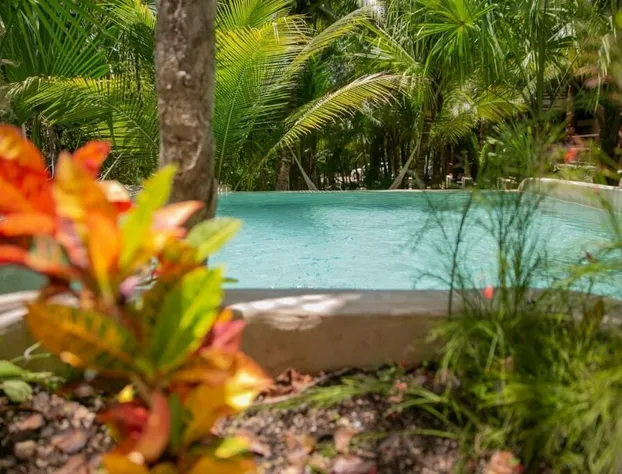 Hotel Buenavista Bacalar Jungle Experience hotel detail image 4