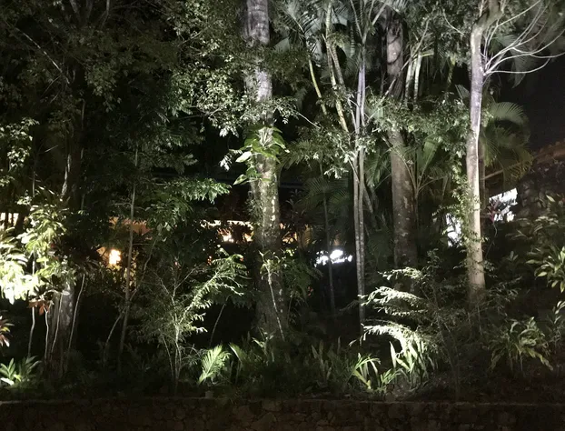 Hotel Ciudad Real Palenque hotel detail image 4