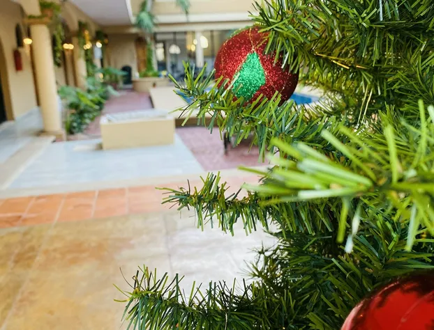 Hotel VSI hotel detail image 3