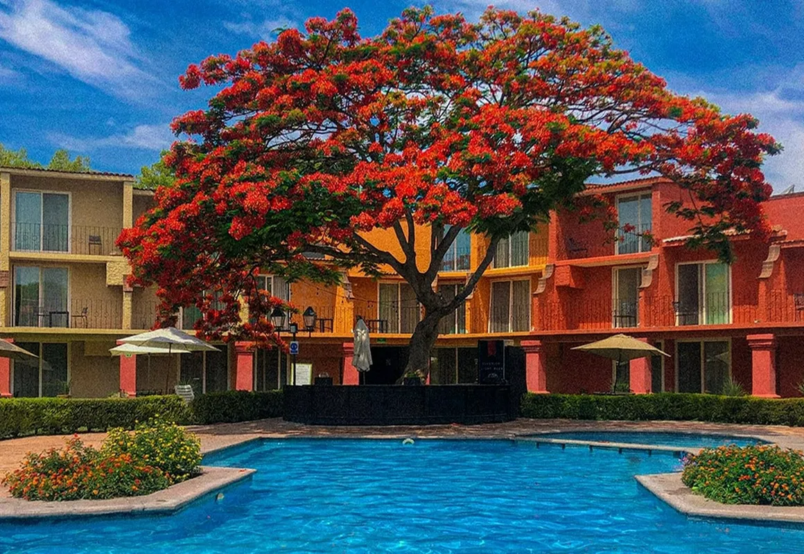 Real De Minas San Miguel De Allende hotel hero