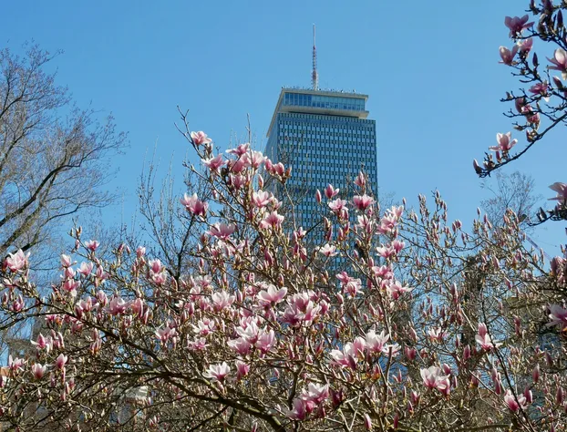 Preferred Two Bedroom Suite hotel detail image 3