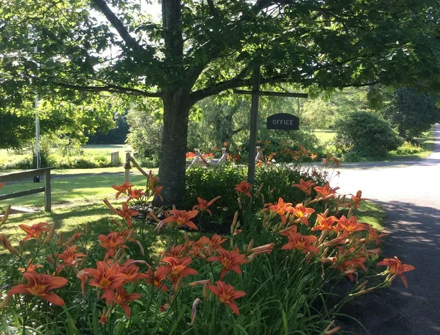 The Villages of Mountain Gap Resort hotel detail image 3