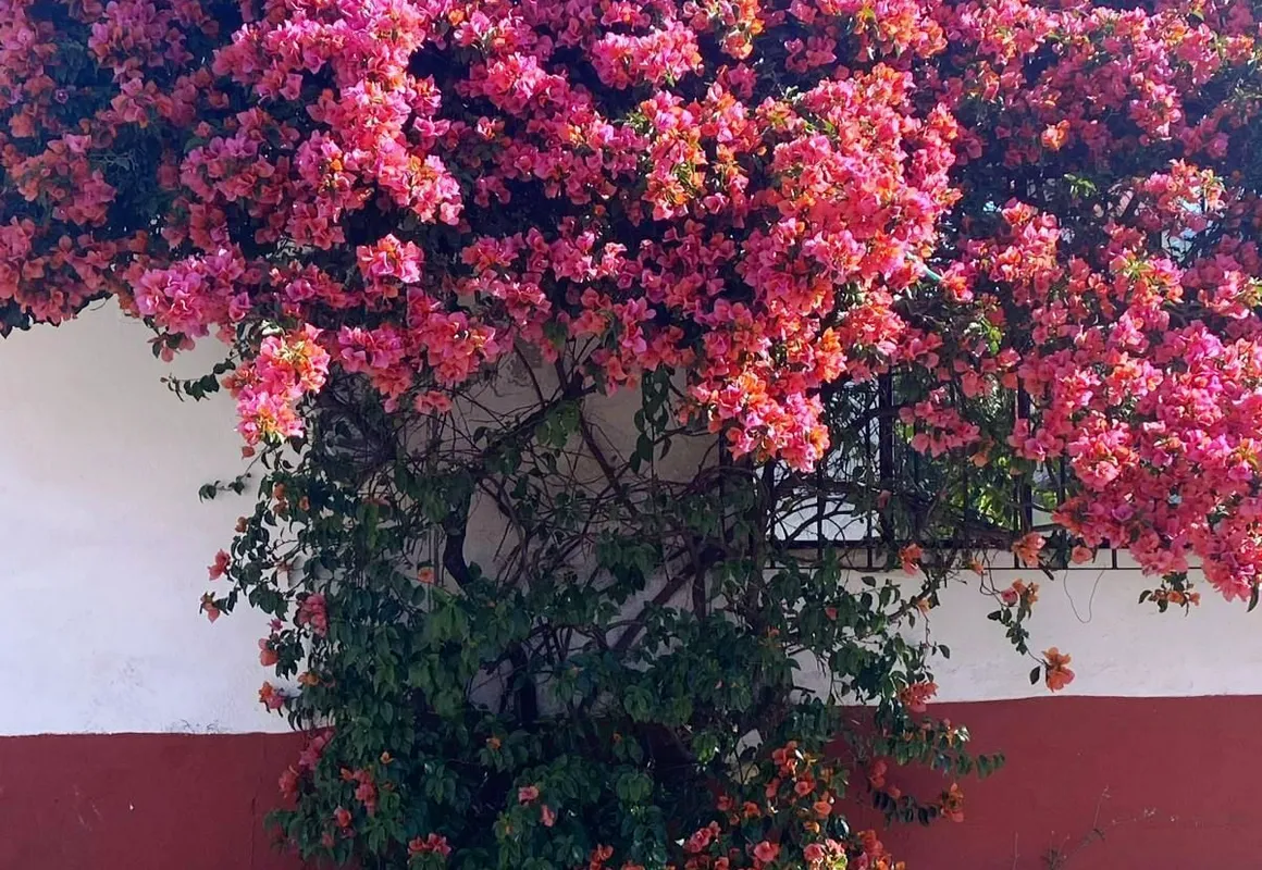 Hotel Posada Camelinas hotel hero