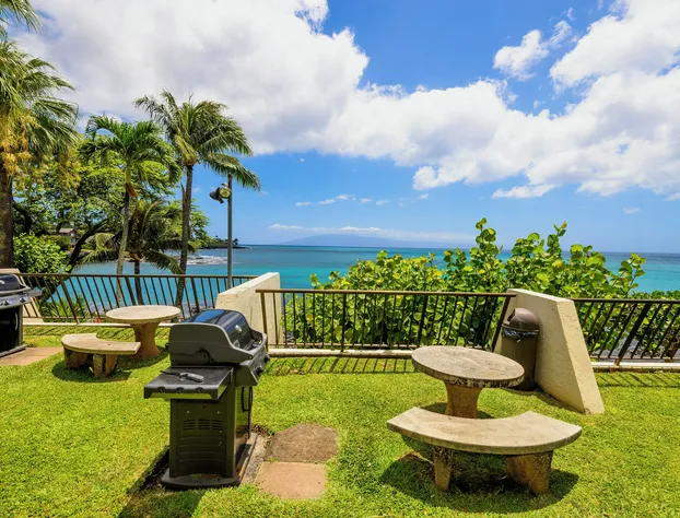 Napili Point C-12 - 2Br Condo hotel detail image 1