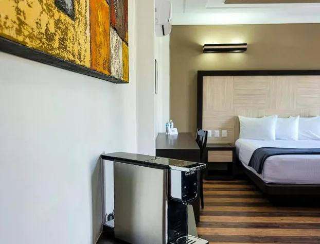 Hotel Paseo de la Presa hotel detail image 4