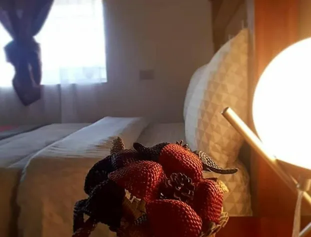 Hakal Mi Lindo Chihuahua hotel detail image 1