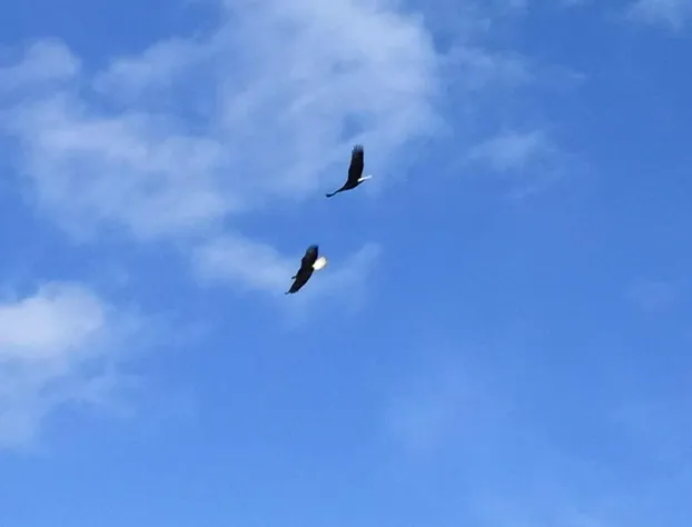 Alaska Halcyon Heights Inn hotel detail image 3