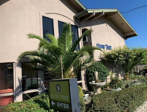 Olive Tree Inn & Suites hotel detail image 2