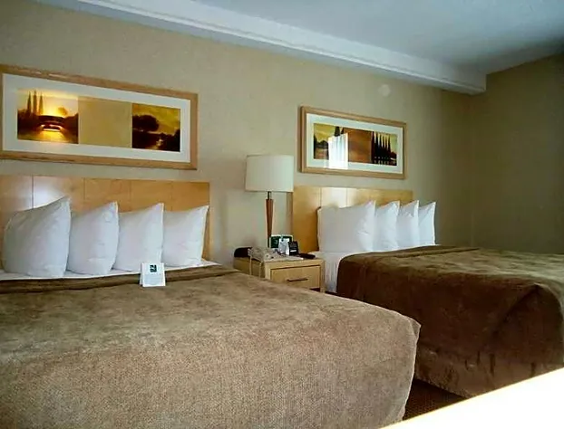 Quality Hotel Montreal Centre-Ville hotel detail image 1