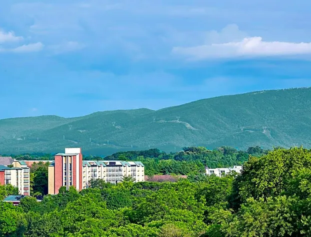 Blue Ridge Hotel and Conference Center hotel detail image 1