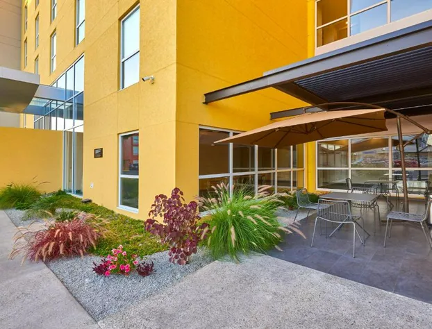 City Express Tijuana Otay hotel detail image 2