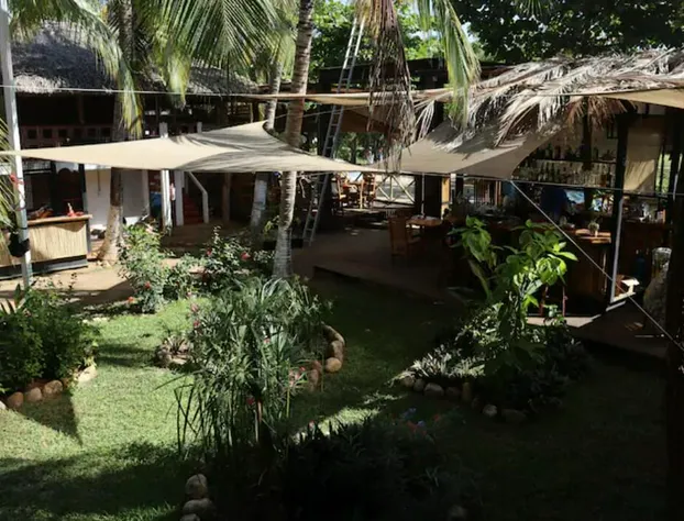 Frida Paradise hotel detail image 2