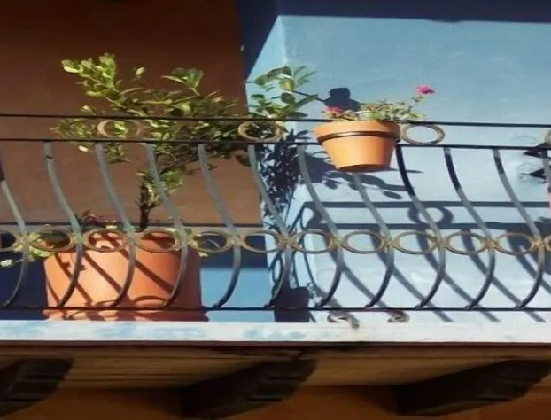 Casa Chikita Bed & Breakfast hotel detail image 3