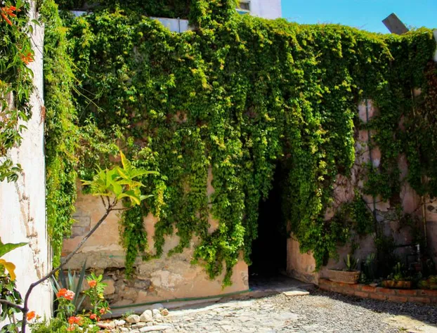 Hotel Boutique Don Porfirio hotel detail image 1