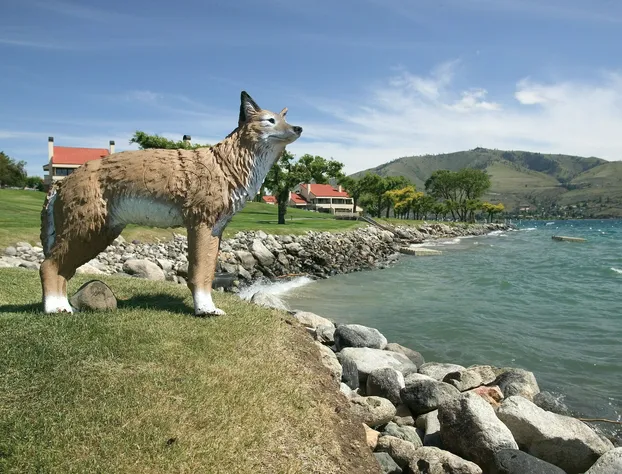 WorldMark Lake Chelan Shores hotel detail image 4