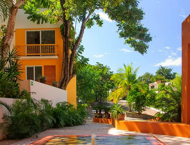 Hotel Ixzi Plus hotel detail image 1