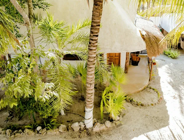 Zomay Beachfront Hotel Holbox hotel detail image 1