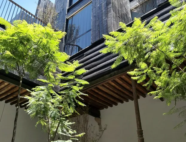 Elena de Cobre, Leon, a Member of Design Hotels hotel detail image 1