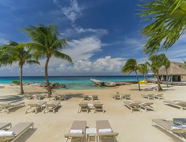 The Westin Cozumel hotel detail image 3