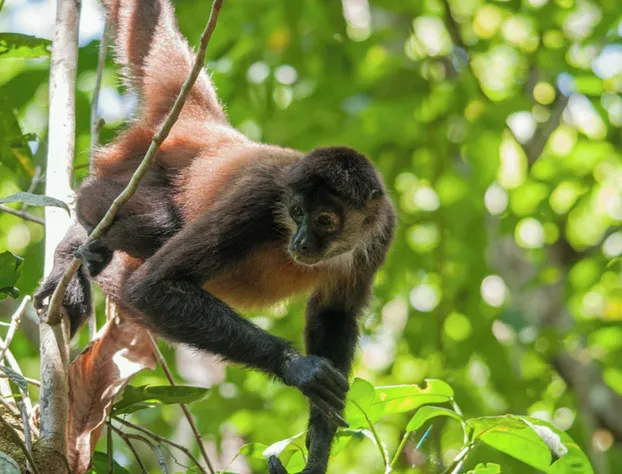 Viceroy Riviera Maya All Inclusive hotel detail image 1