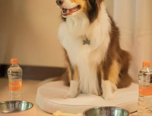 Viceroy Riviera Maya All Inclusive hotel detail image 4