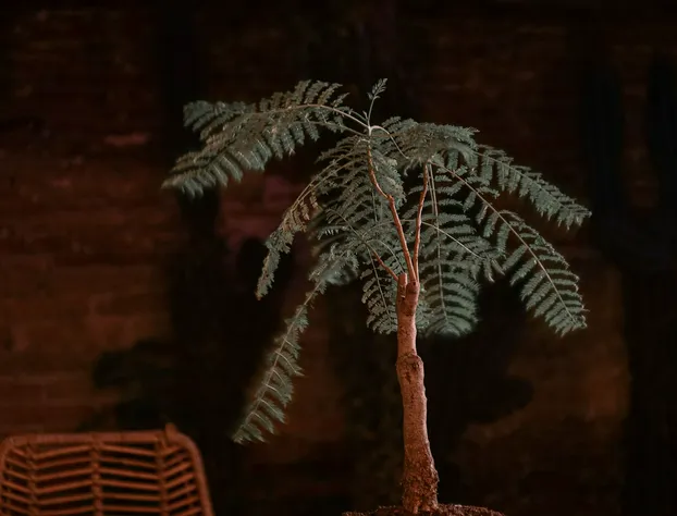 El Recinto Luxury Hotel hotel detail image 1