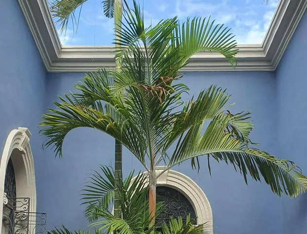 Künük Hotel Boutique hotel detail image 4