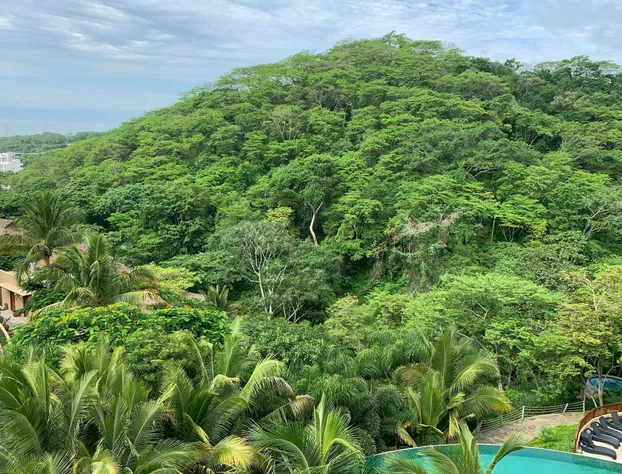 Delta Hotels by Marriott Riviera Nayarit, An All-Inclusive Resort hotel detail image 4