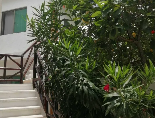 Posada Yalekin Holbox hotel detail image 1