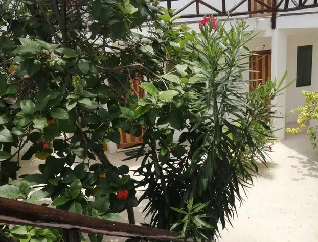 Posada Yalekin Holbox hotel detail image 2