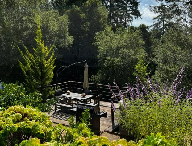 Mountain Lodge Estate hotel detail image 4