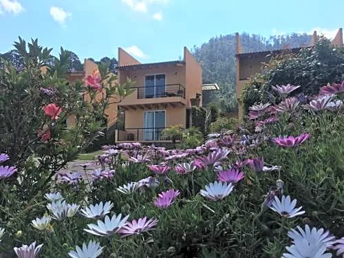 Hotel 7 Cabañas hotel detail image 3