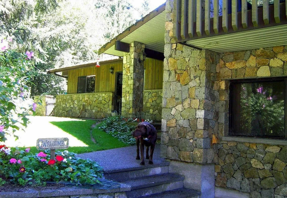 Misty Meadows B&B hotel hero