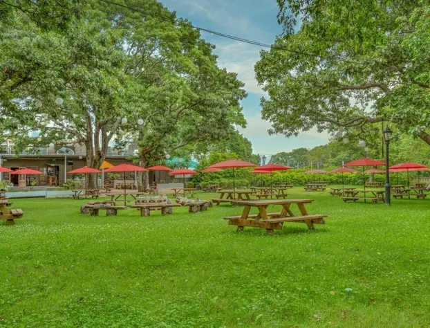 Ruschmeyers #10 Dlx Queen hotel detail image 4