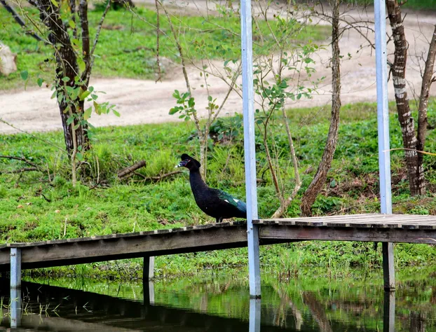 Nativa Posada & Spa hotel detail image 3
