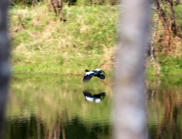 Nativa Posada & Spa hotel detail image 4