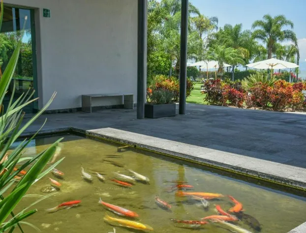 La Reserva Chapala Resort hotel detail image 4