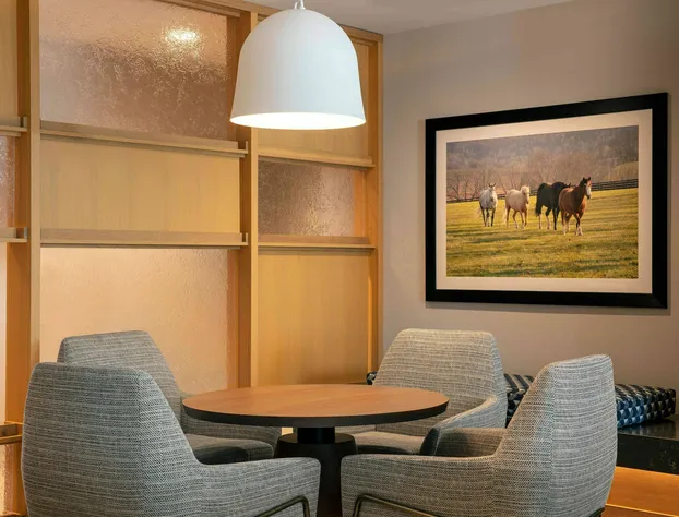 Fairfield Inn & Suites by Marriott Lewisburg hotel detail image 3