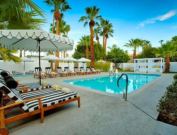 Dive Palm Springs hotel detail image 3