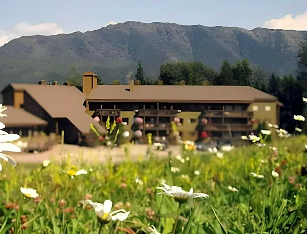 The Griz Inn by Park Vacation Management hotel detail image 2