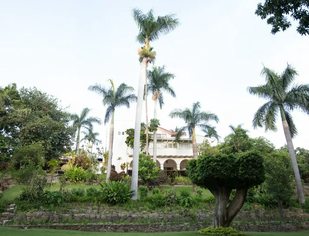 Hotel Jacarandas hotel detail image 2