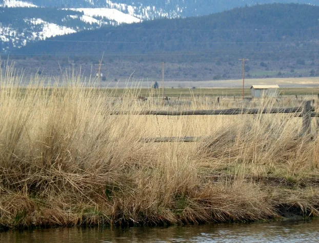 Hunters Hot Springs Resort hotel detail image 1