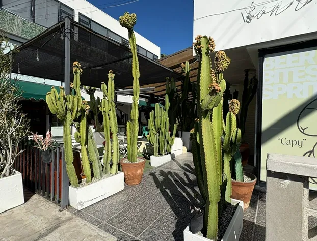 Coyote Lofts hotel detail image 3