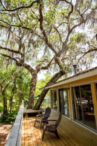 Riverfront Treetop Bungalow hotel detail image 3