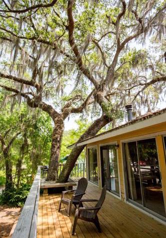 Riverfront Treetop Bungalow hotel detail image 4